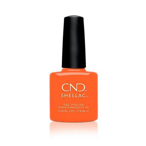 SHELLAC B-Day Candle 0.25oz